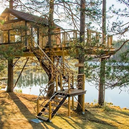 Treehouse Ciekurs Villa Dukuri Exteriör bild