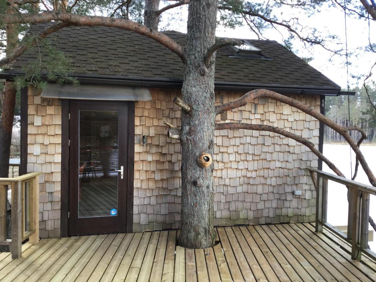 Treehouse Ciekurs Villa Dukuri Exteriör bild