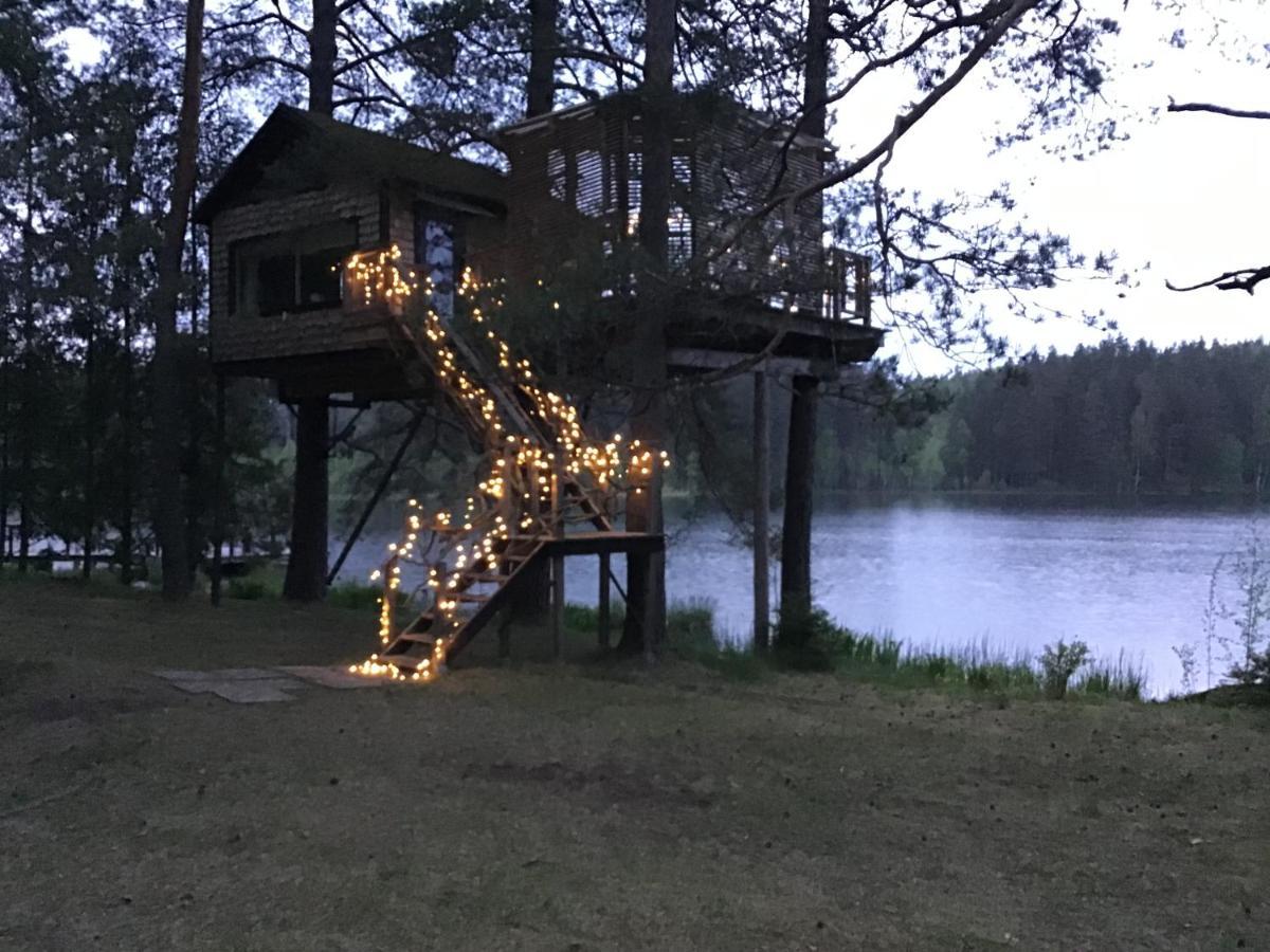 Treehouse Ciekurs Villa Dukuri Exteriör bild