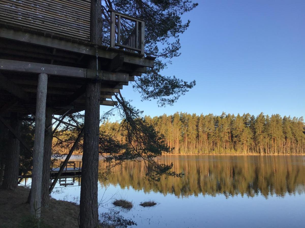 Treehouse Ciekurs Villa Dukuri Exteriör bild