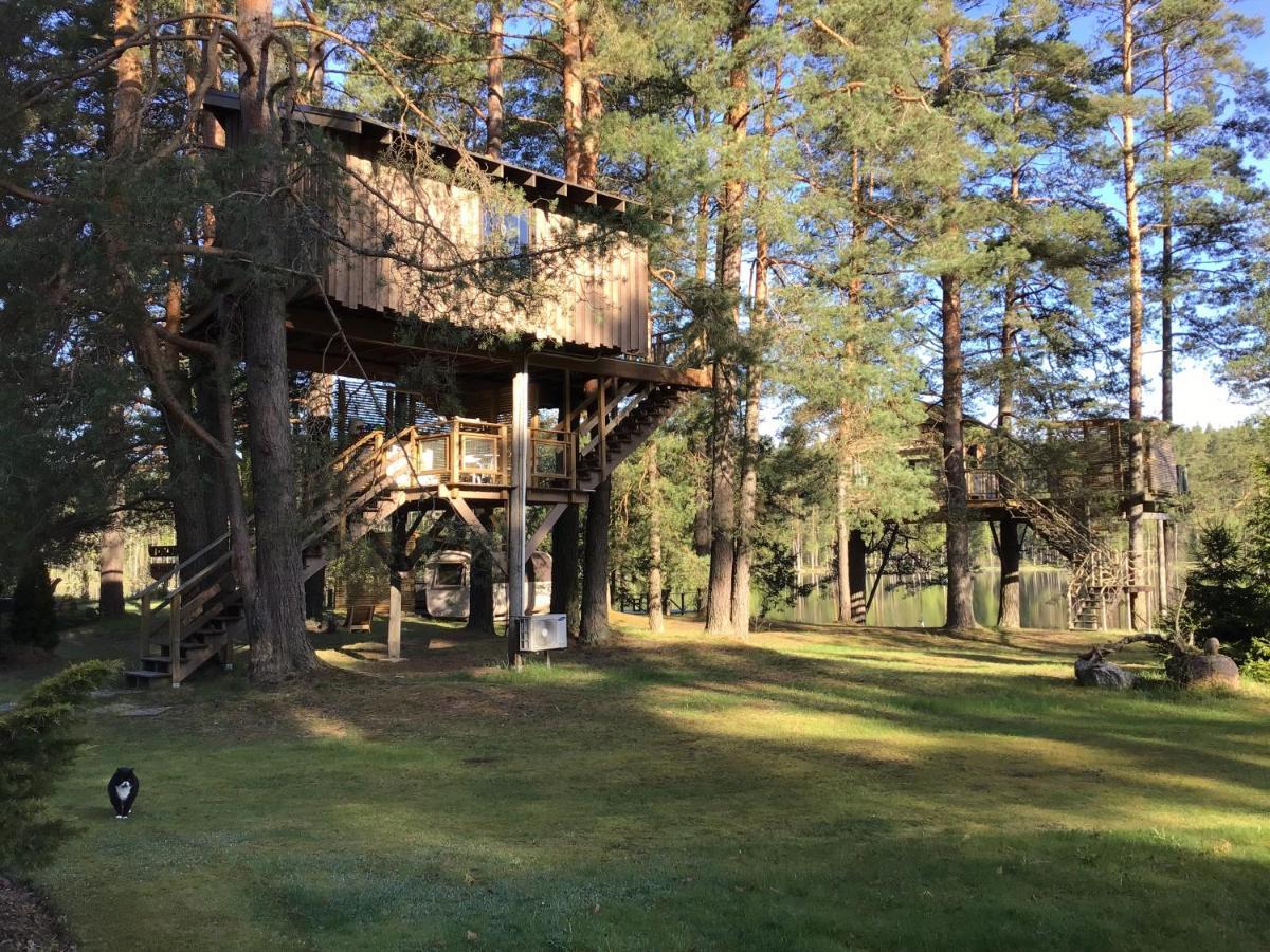 Treehouse Ciekurs Villa Dukuri Exteriör bild