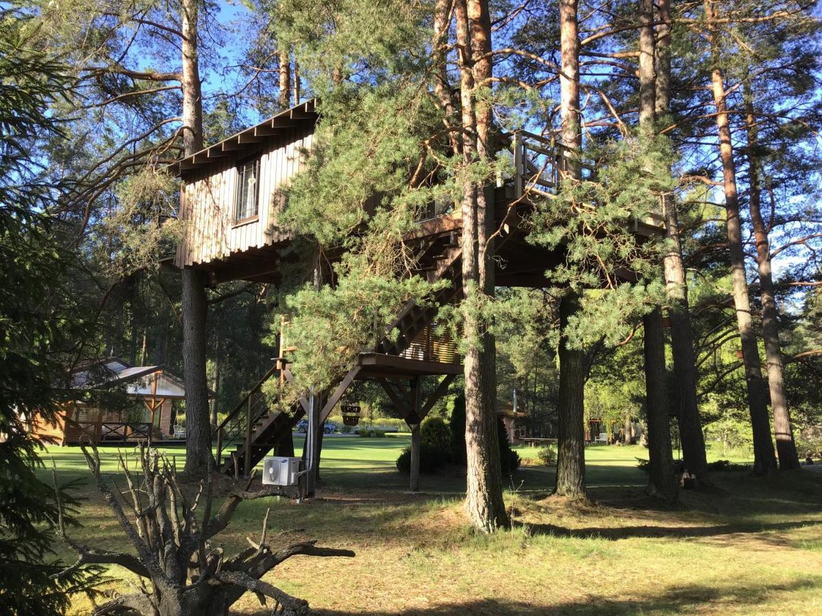 Treehouse Ciekurs Villa Dukuri Exteriör bild