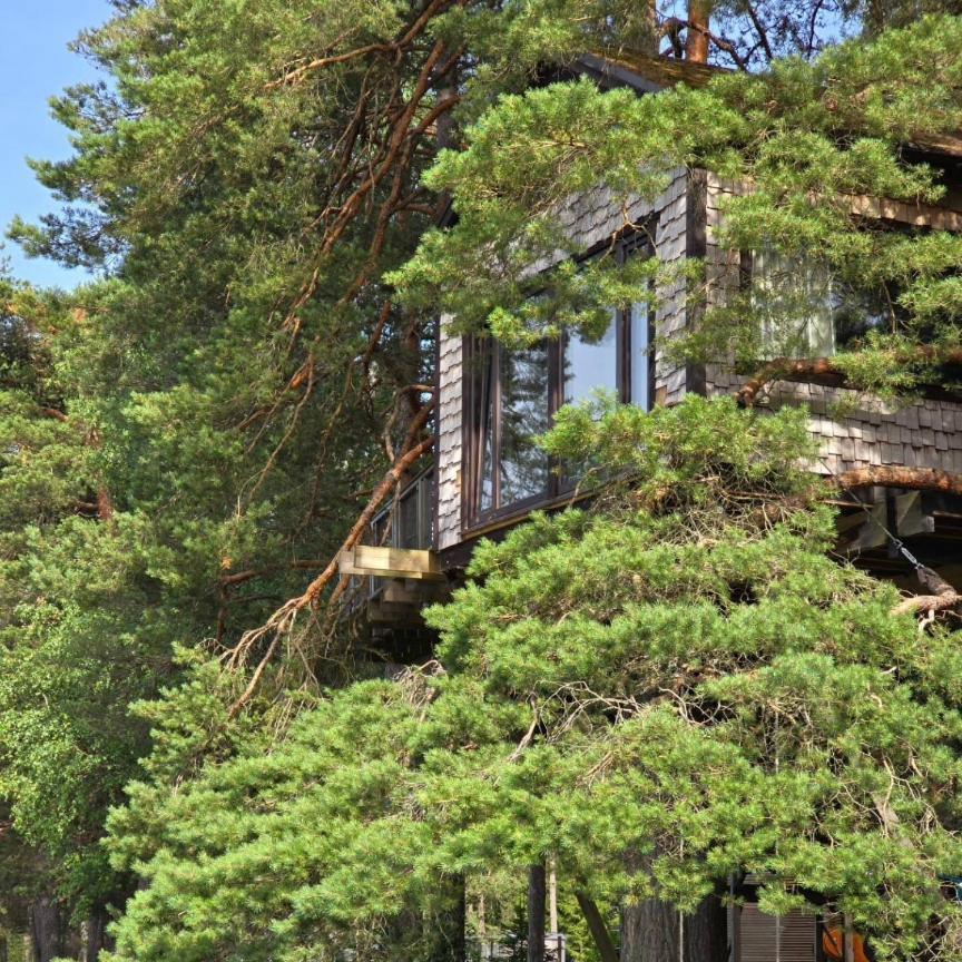 Treehouse Ciekurs Villa Dukuri Exteriör bild