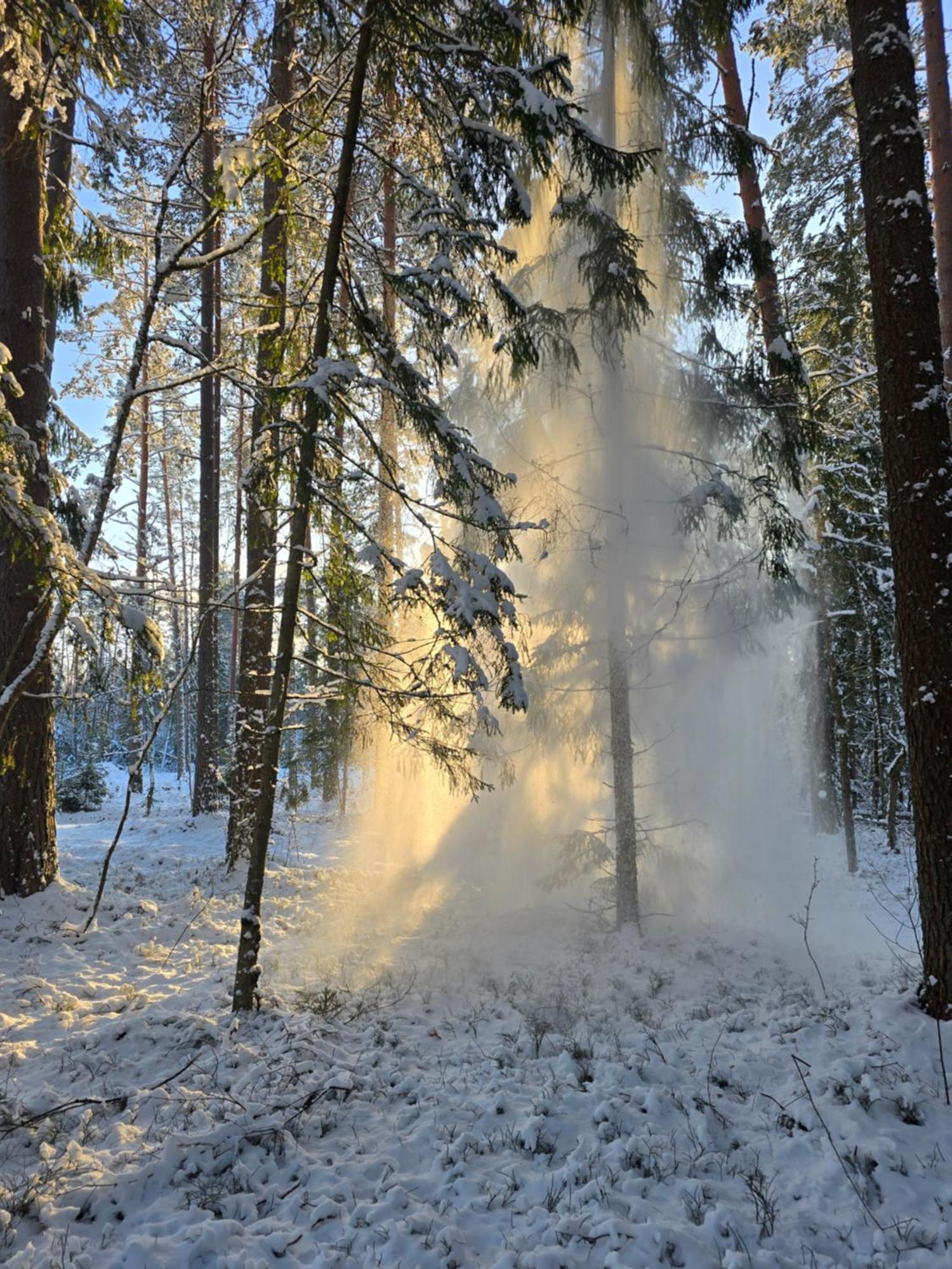 Treehouse Ciekurs Villa Dukuri Exteriör bild
