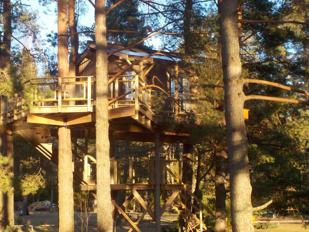 Treehouse Ciekurs Villa Dukuri Exteriör bild