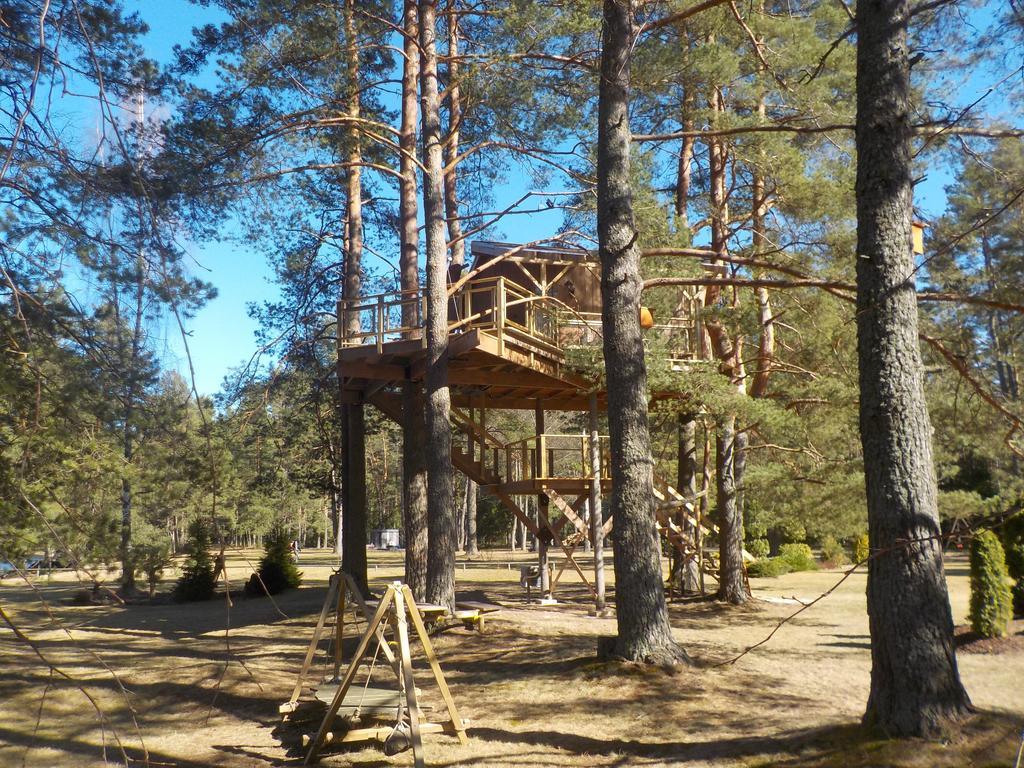 Treehouse Ciekurs Villa Dukuri Exteriör bild