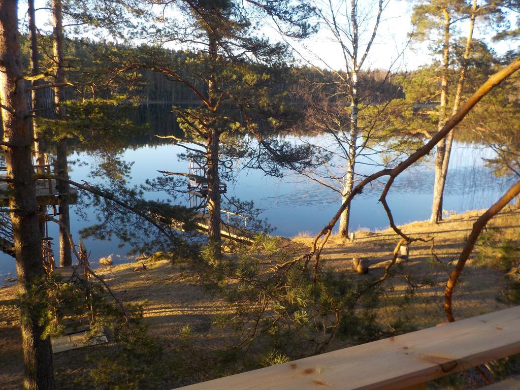 Treehouse Ciekurs Villa Dukuri Exteriör bild