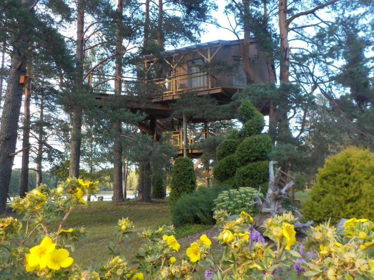 Treehouse Ciekurs Villa Dukuri Exteriör bild